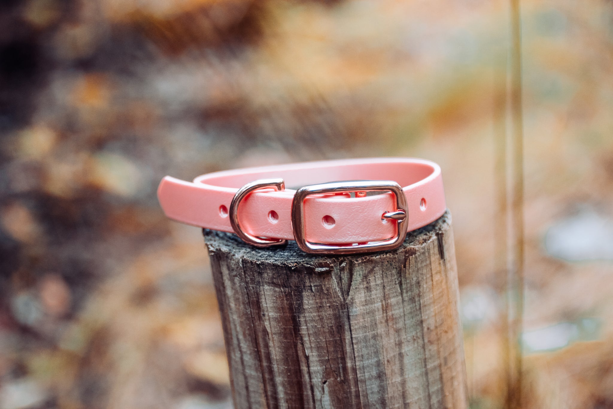 ROSE GOLD (COLLARS) - LIMITED COLOUR RELEASE - Kite & Anchor