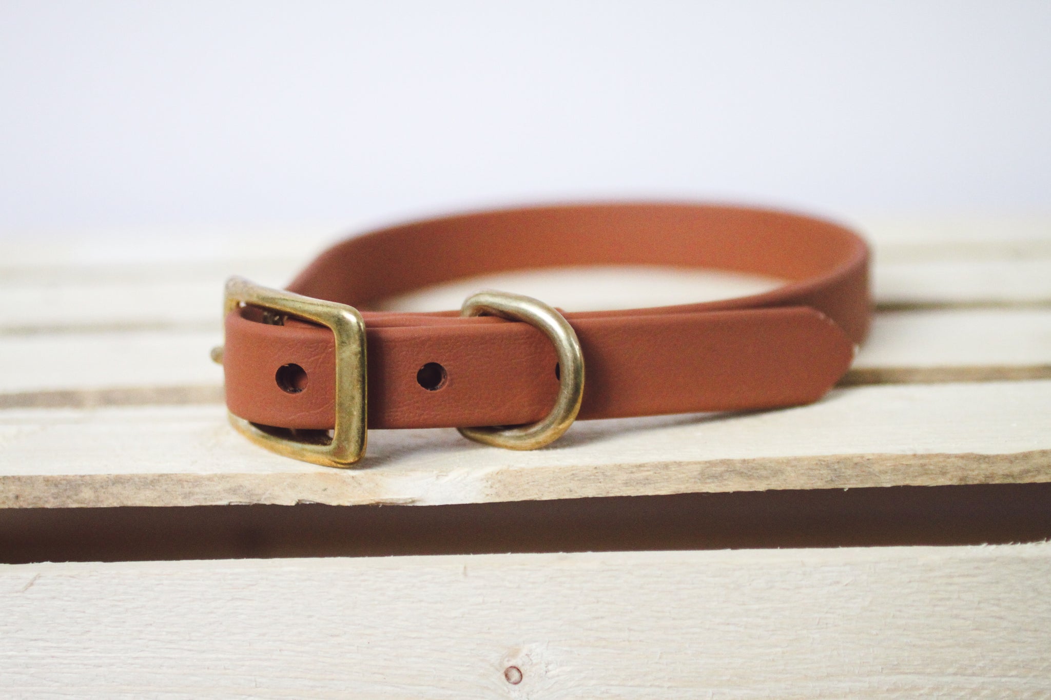 MID-SIZE FUNDY MUD CLASSIC COLLAR - Kite & Anchor