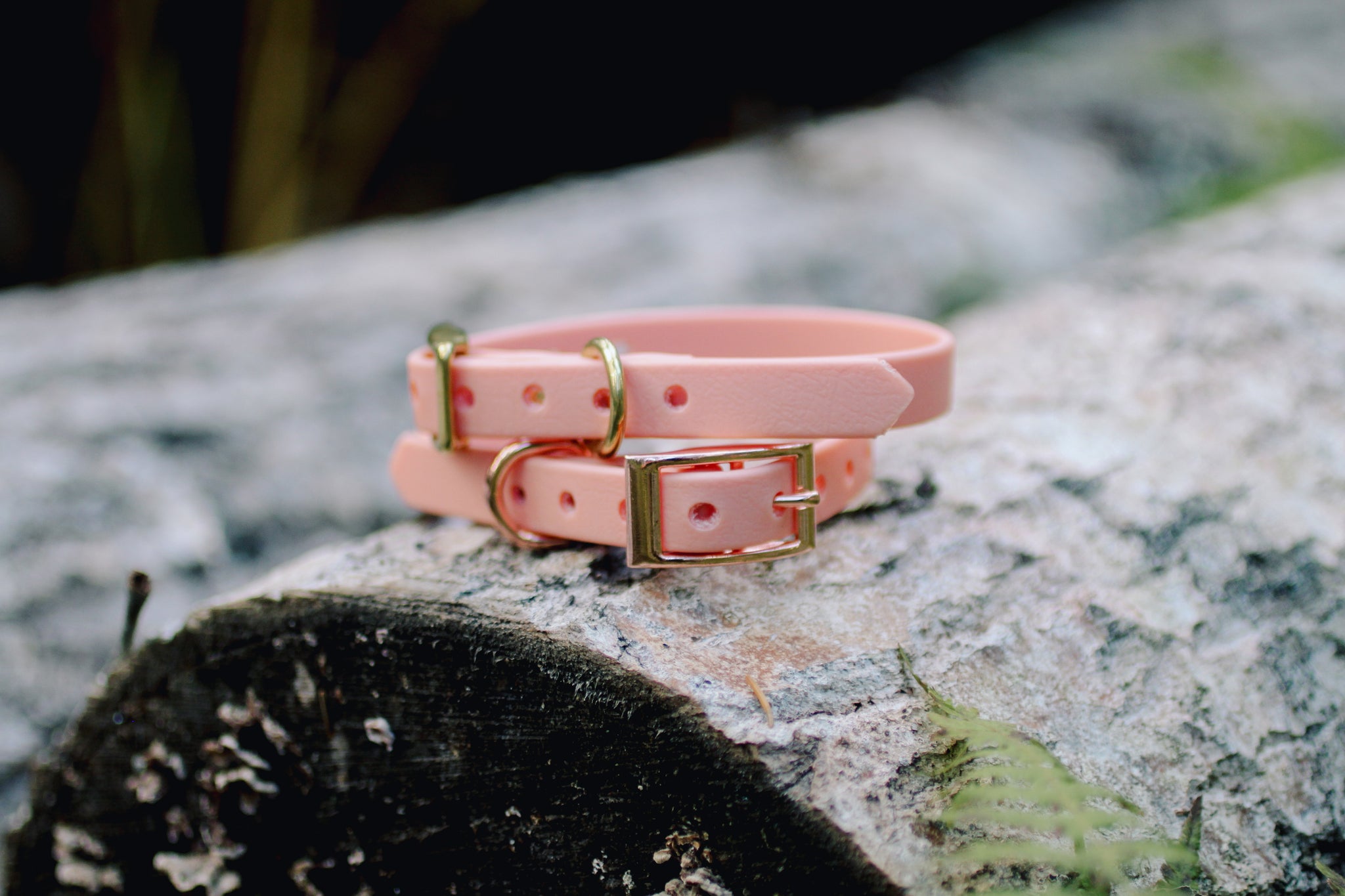 ROSE GOLD (COLLARS) - LIMITED COLOUR RELEASE - Kite & Anchor