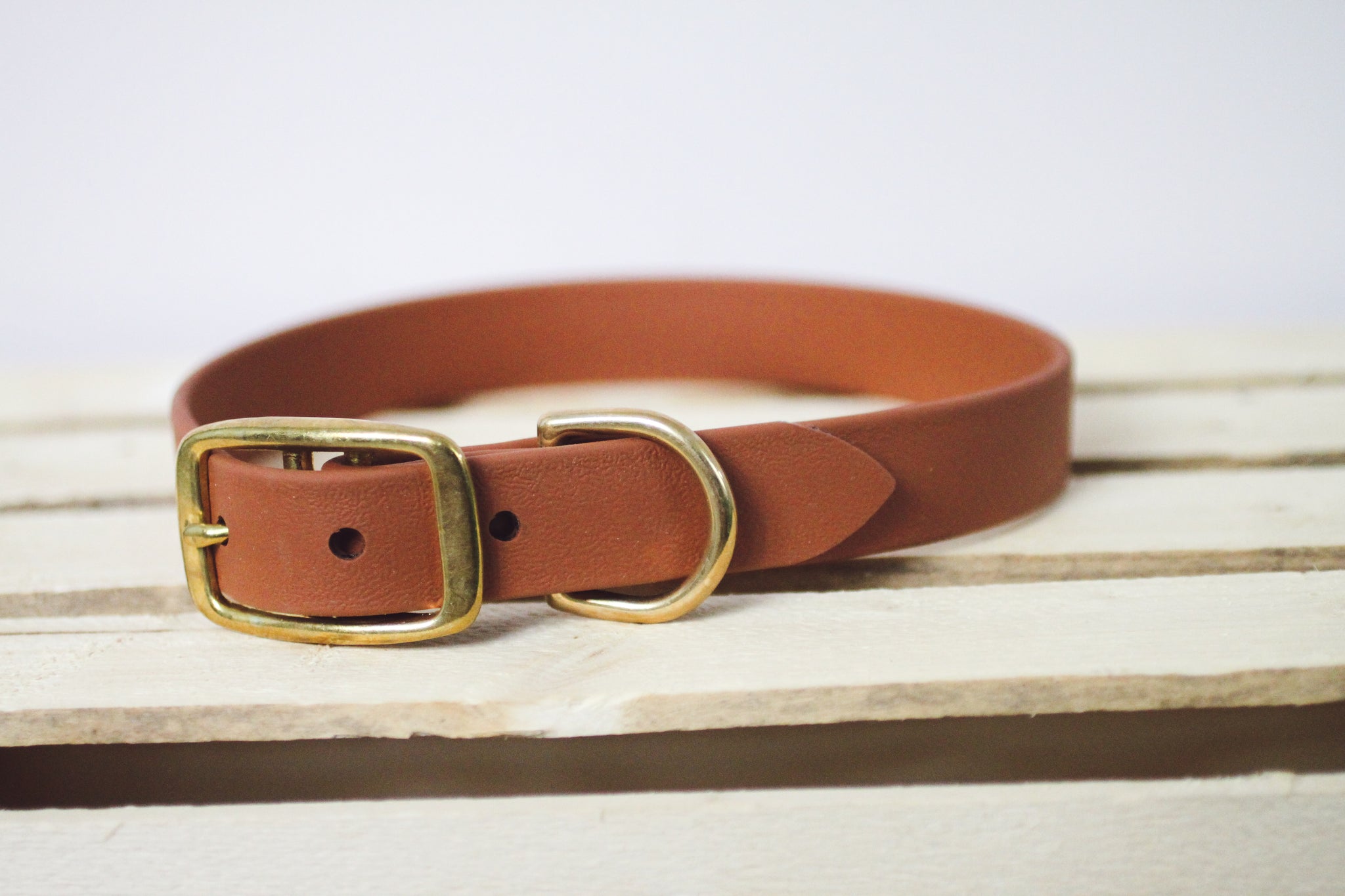 LARGE FUNDY MUD CLASSIC COLLAR - Kite & Anchor