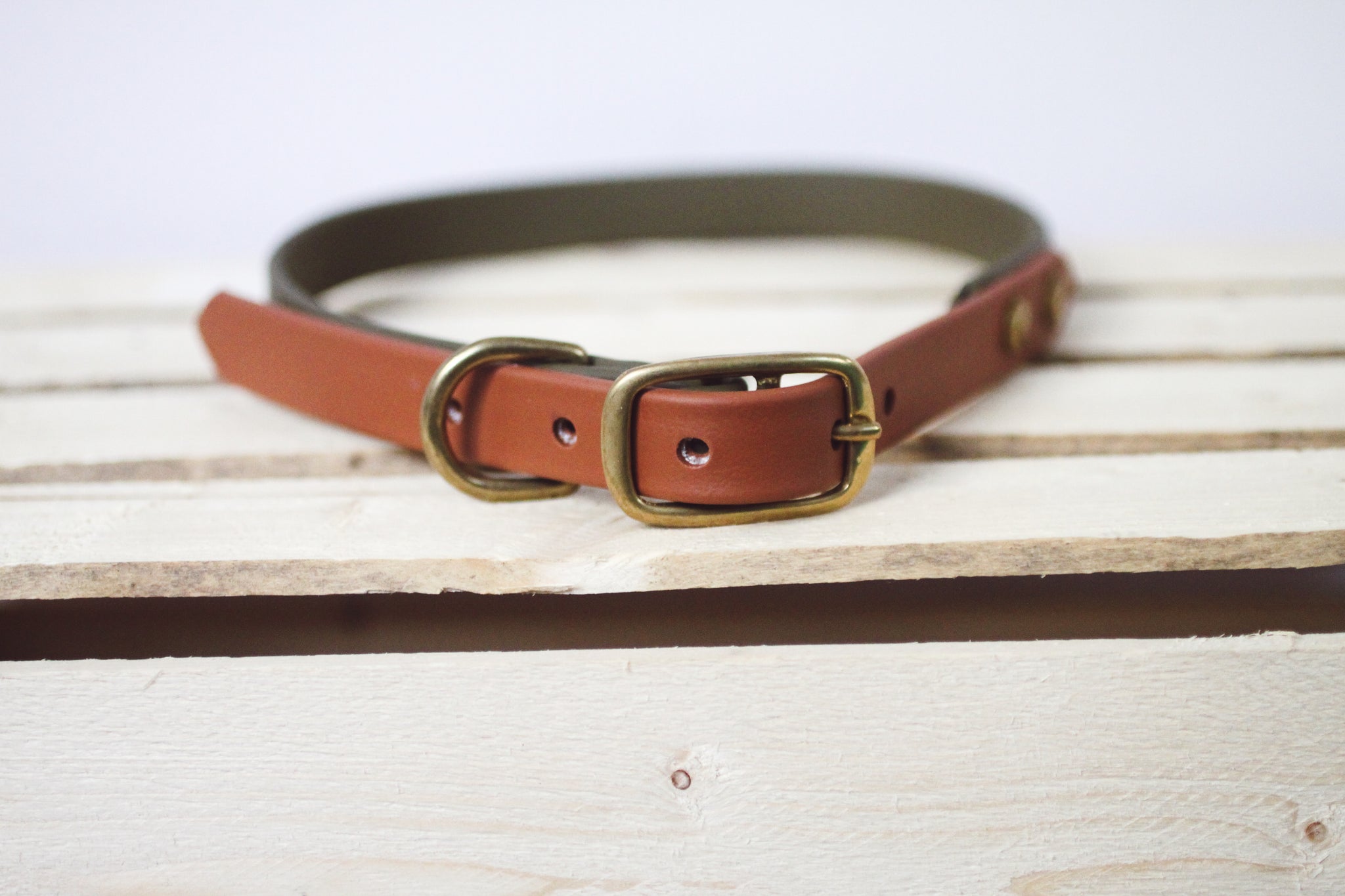 XL TANGLED GARDEN + FUNDY MUD TWO-TONED COLLAR - Kite & Anchor
