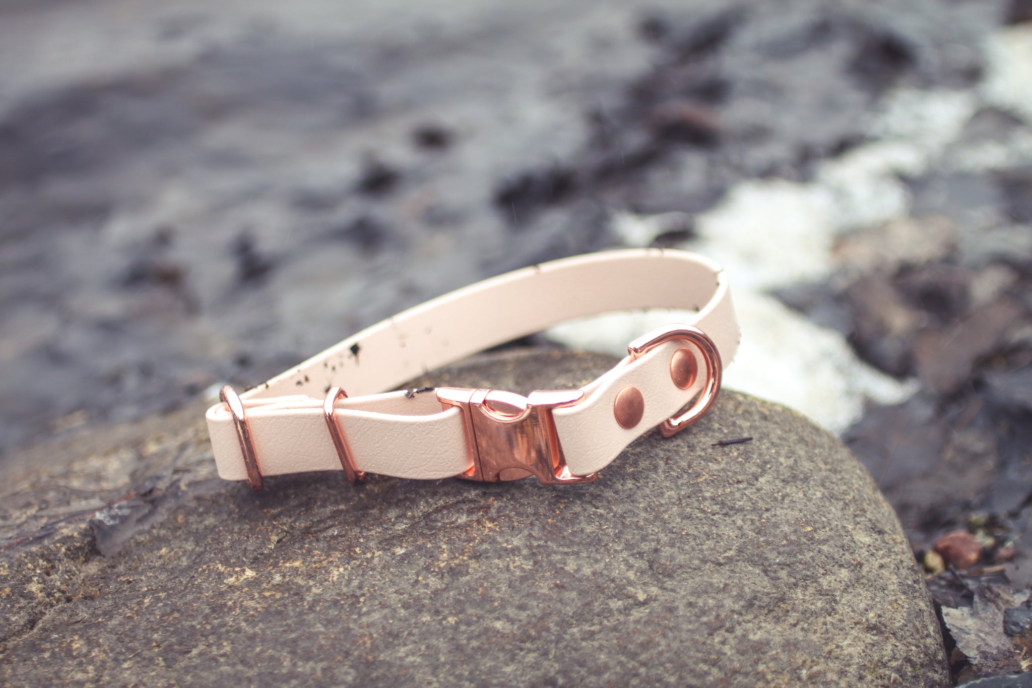 SAND DOLLAR(COLLARS) - LIMITED COLOUR RELEASE - Kite & Anchor