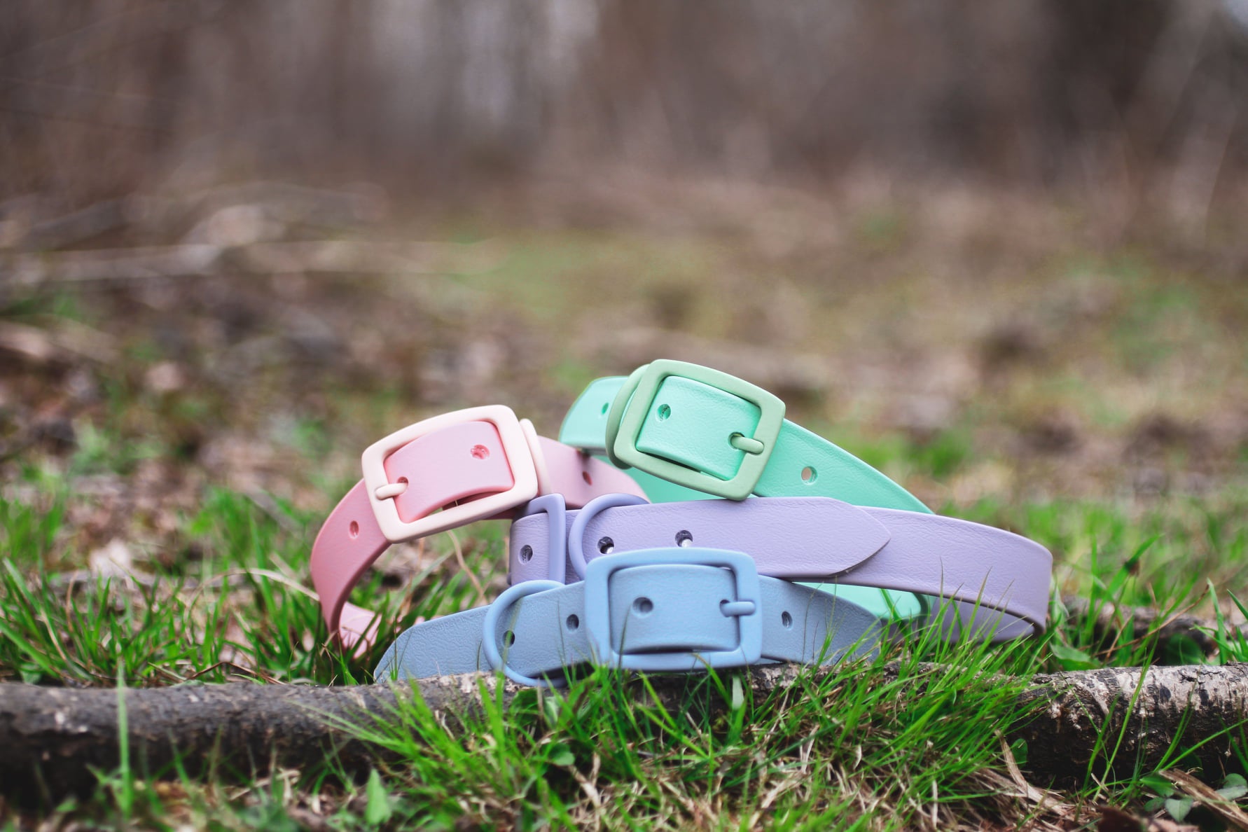 LIMITED RELEASE BIOTHANE COLLAR - Kite & Anchor